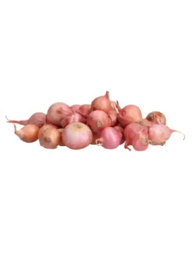 Rosanna tipp-sibul Ø 21-24 mm roosa 0,5 kg	 