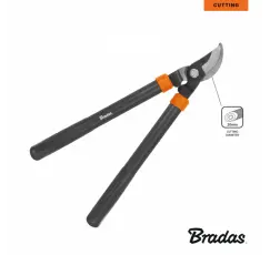 Pruning shears, passing blade
