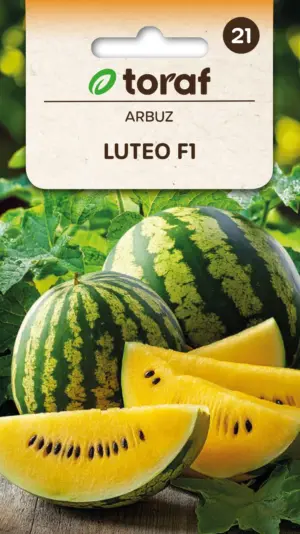 Arbuus Luteo F1 7 s.