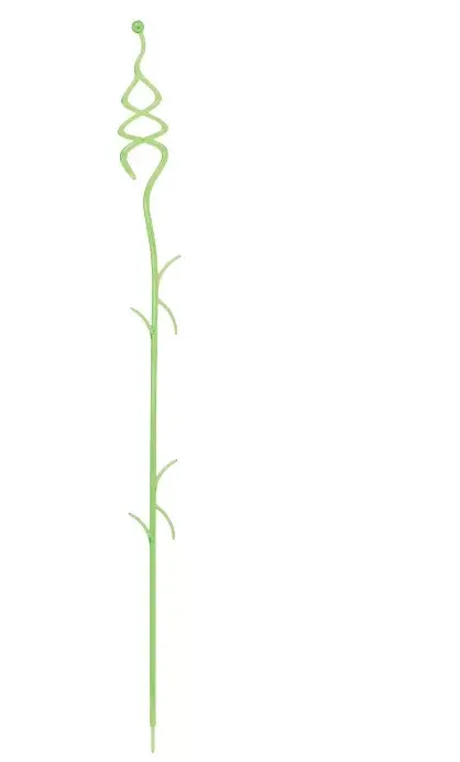 Taimetugi Coubi Orchids roheline 40cm 