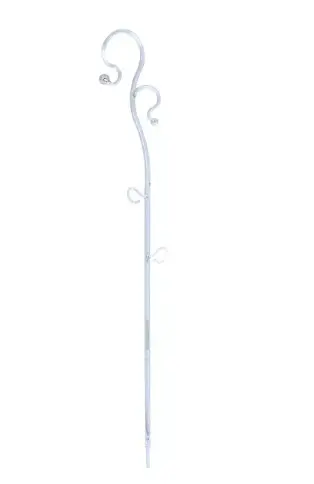 Taimetugi Coubi Orchids roheline 50cm 