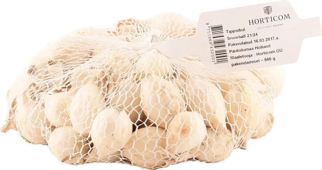Tippsibul 'Snowball' 21/24 500g