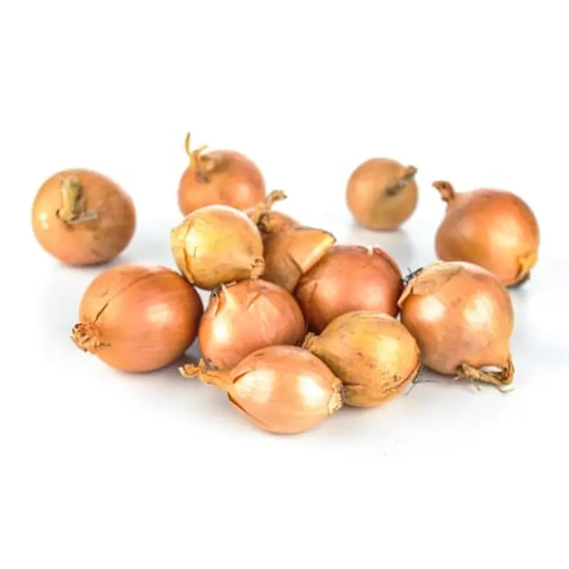 Pesasibul 'Yellow Moon' 7/14 500g