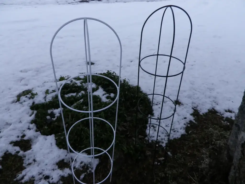 Lilletugi "Linnupuur" 1400mm valge