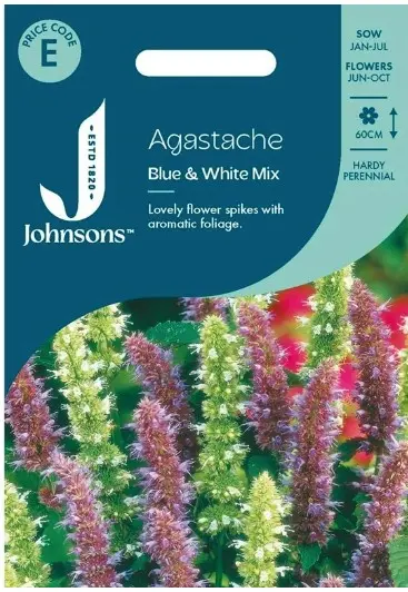 Aniisi-hiidiisop Blue&White mix