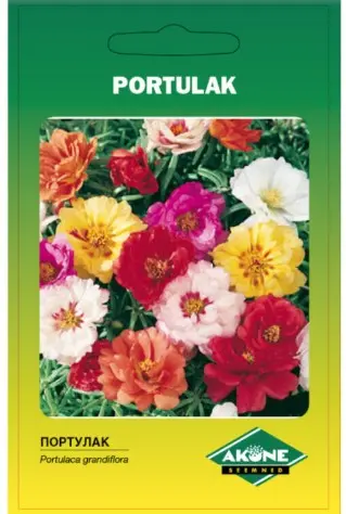 Portulak segu 0,2g