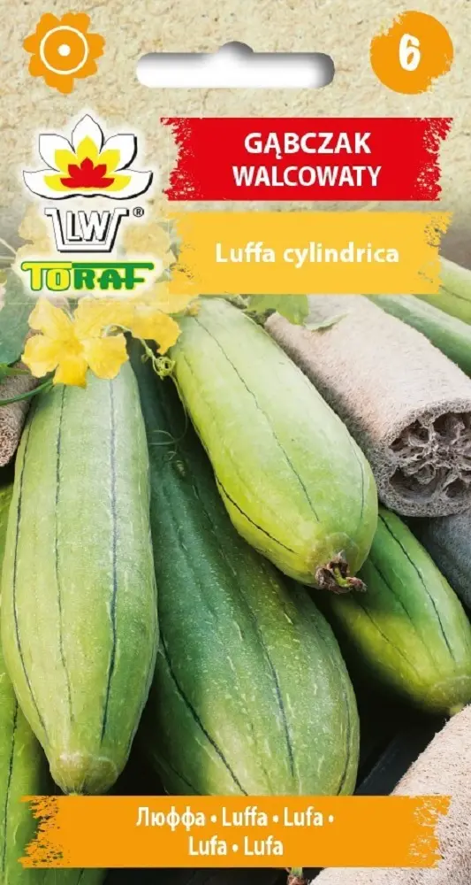 Rulljas käsnakõrvits Luffa 1g