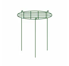 Taimede (pojengide) ringtugi 50cm diam x H75cm