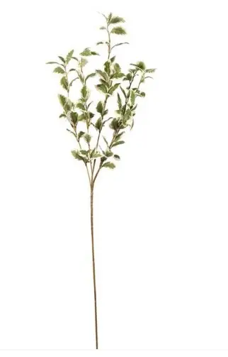 Kunstlill pittosporum