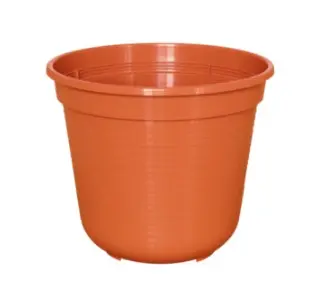 Istutuspott Geli d10cm terrakota