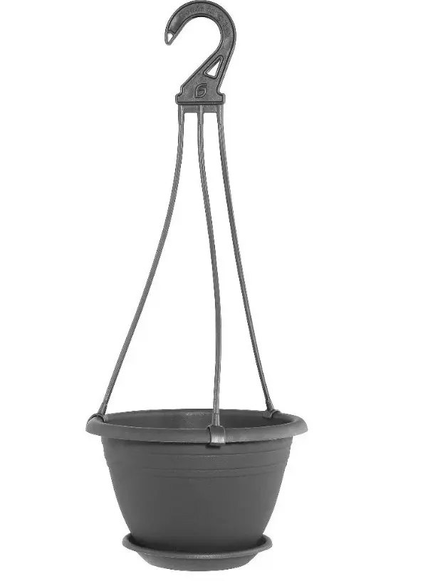 Ampelpott Calicia d25cm hall