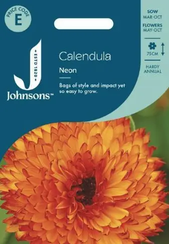 Saialill NEON 