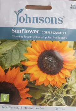 Päevalill COPPER QUEEN F1 