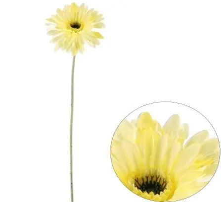 Kunstlill gerbera 'yellow' 60cm 