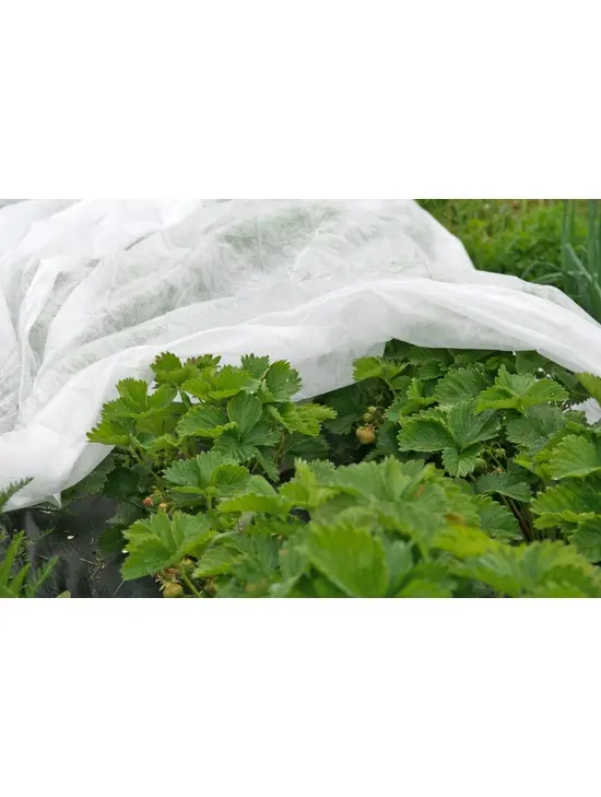 Kahekihiline katteloor Mix 60 g/m², 3х10m