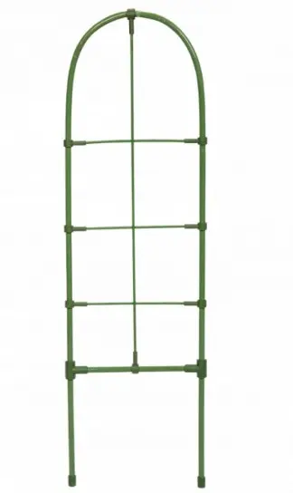 Taimetugi 60cm