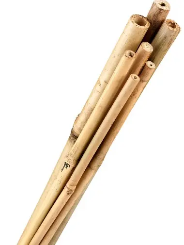 Taimetugi bambuskepp 150cm 14/16mm
