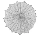 Laudlina ämblikuvõrgumustriga 124cm