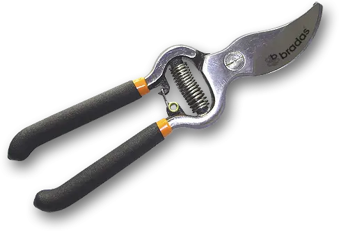 Oksakäärid  8" CARBON STEEL