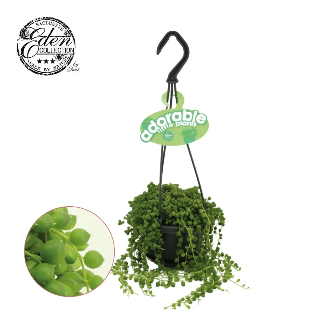 Helmes-ristirohi P14/28cm