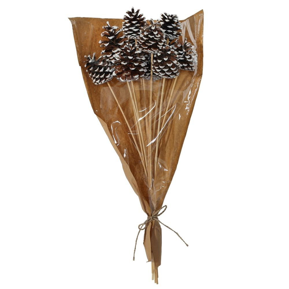 Männikäbi 50cm pulgaga valge ots 12tk