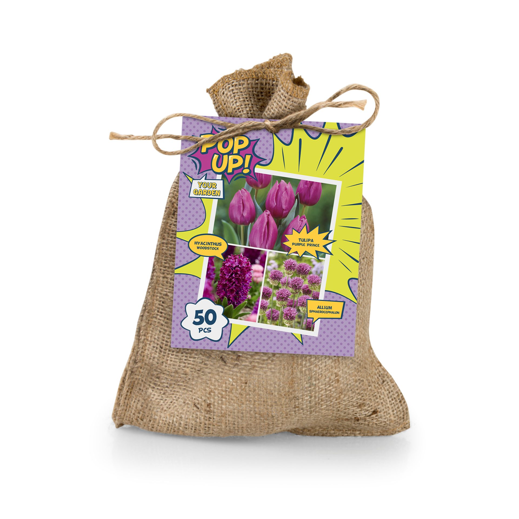 Pop Up! Lillesibulate valik lilla 50tk