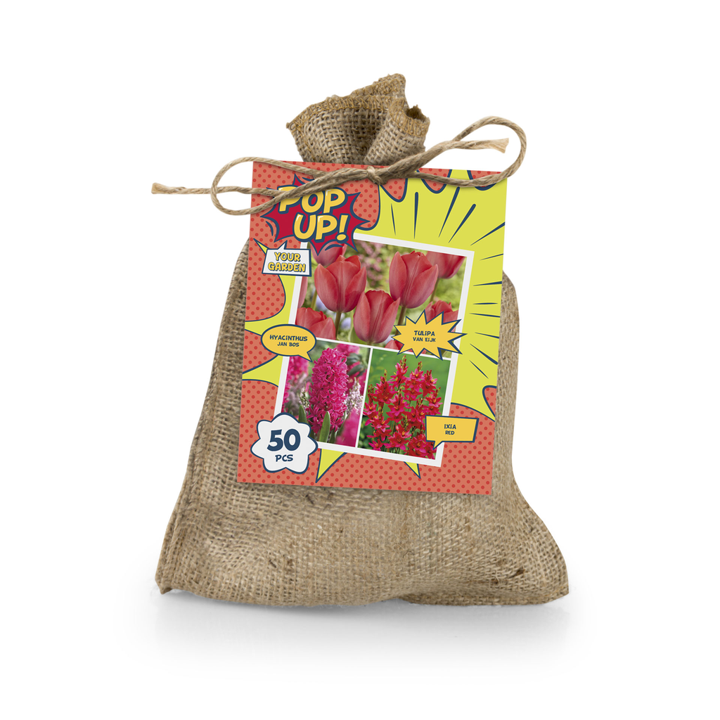 Pop Up! Lillesibulate valik punane 50tk