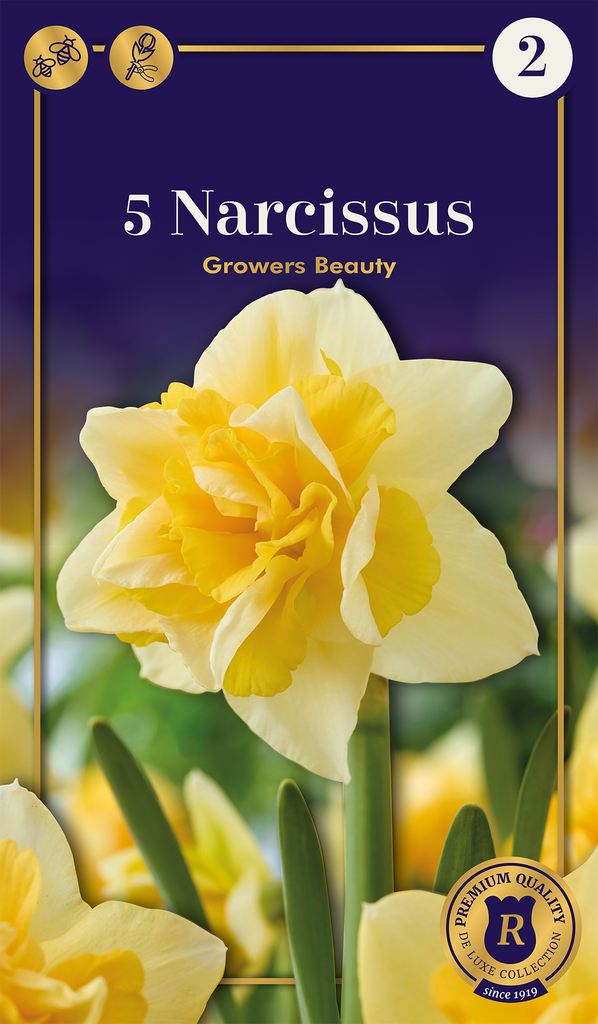 Nartsiss 'Growers Beauty' 5tk 12/14