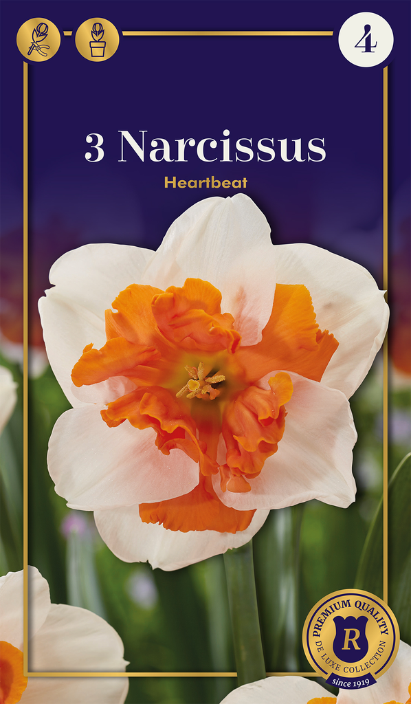 Nartsiss 'Heartbeat' 3tk 12/14