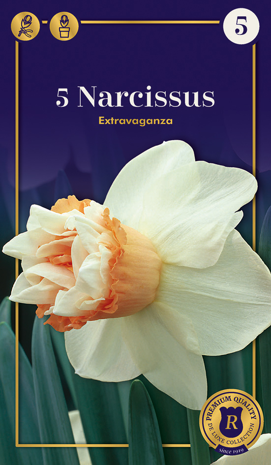 Nartsiss 'Extravaganza' 5tk 14/16
