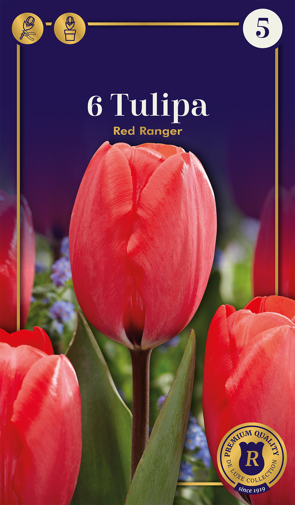 Tulp 'Red Ranger' 6tk 12/+