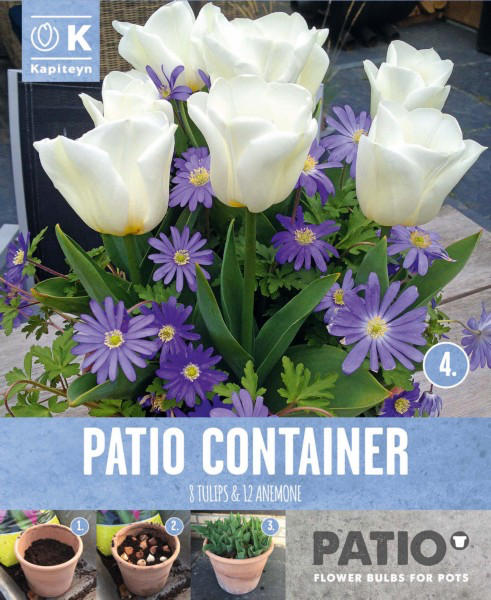 Tulp ja ülane 'Patio Container white & blue' 20tk 12/+