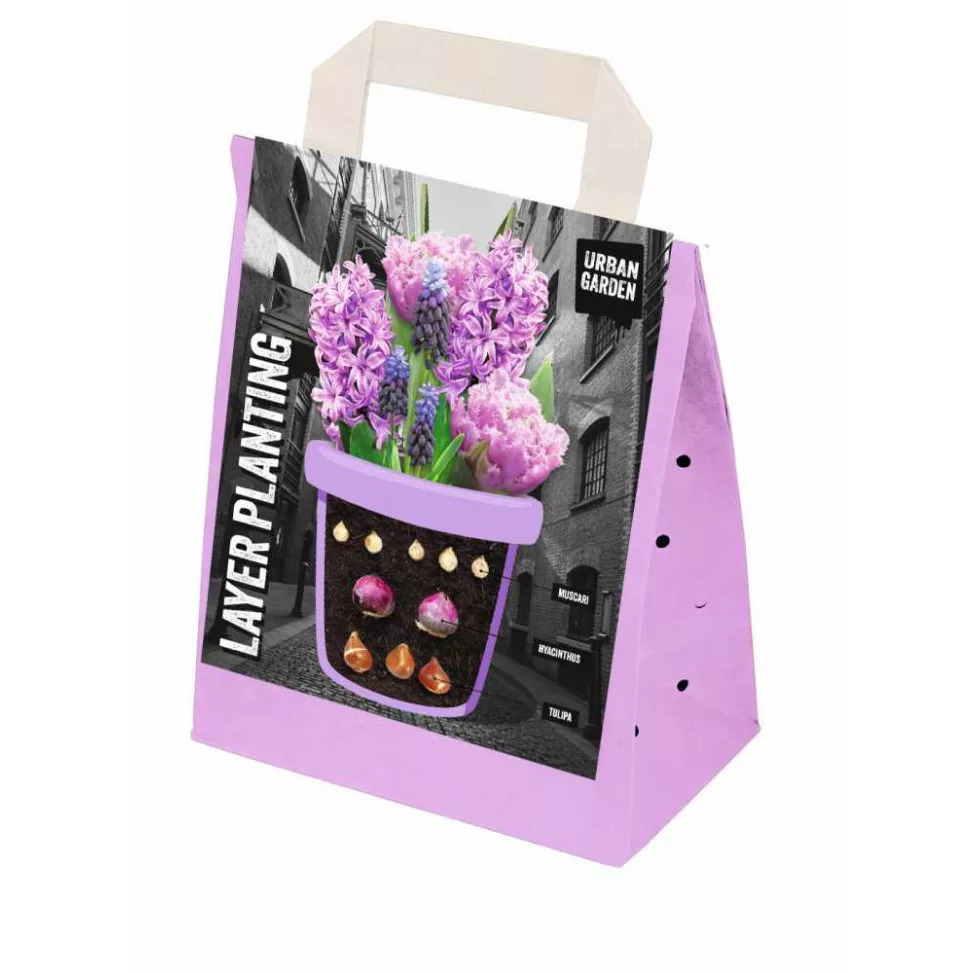 Layer Planting purple 25tk