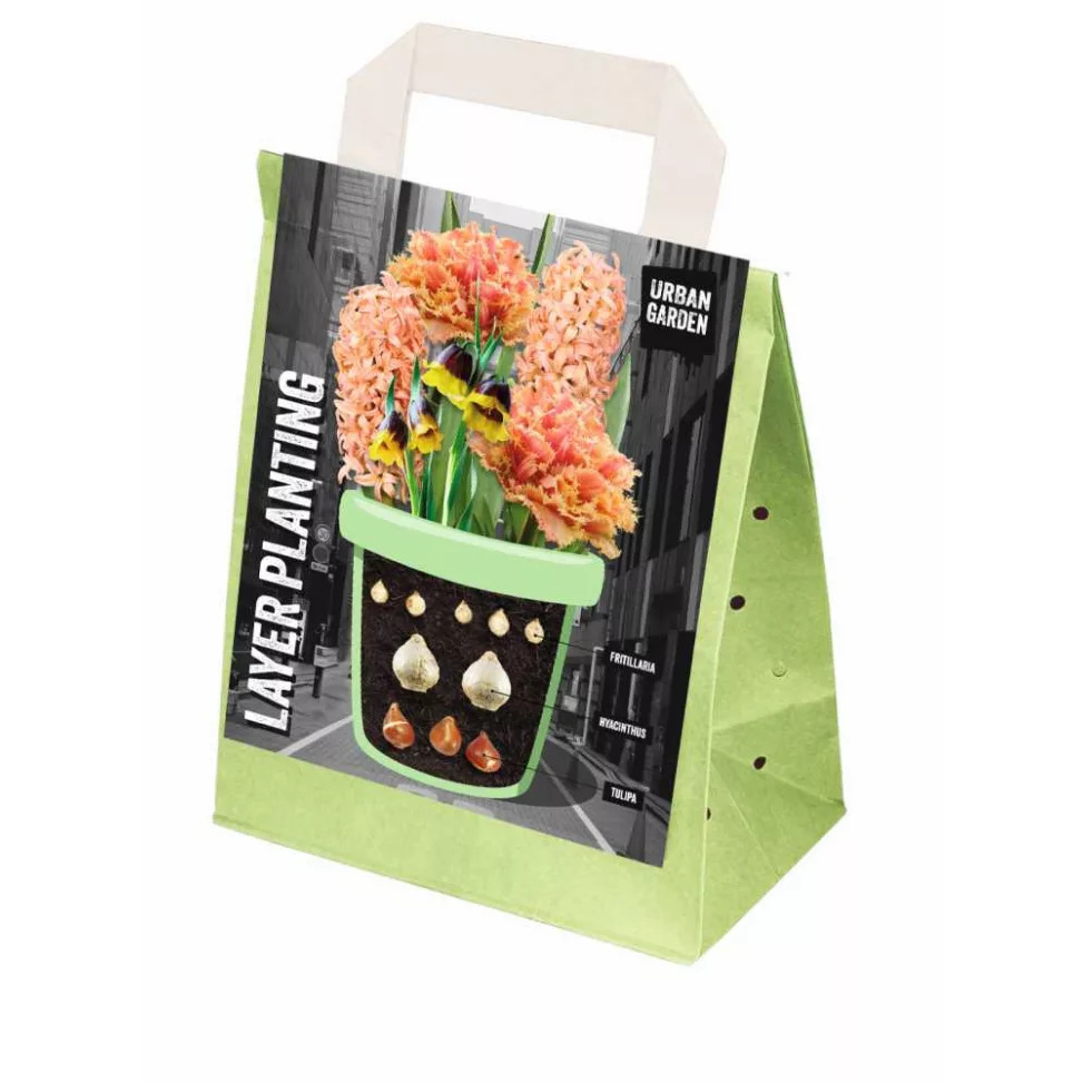 Layer Planting orange 25tk