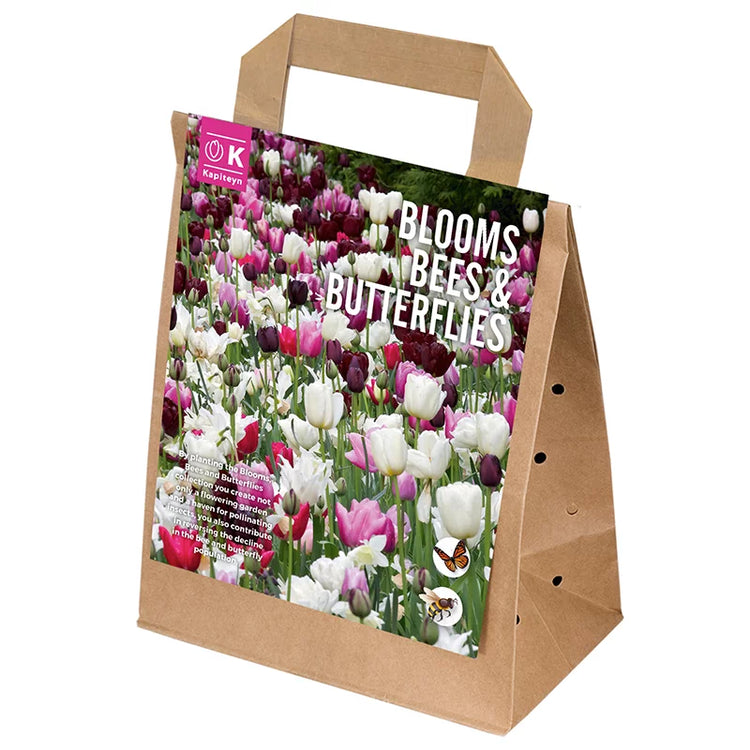 Nature's Friends 'Pink Shades' 15tk