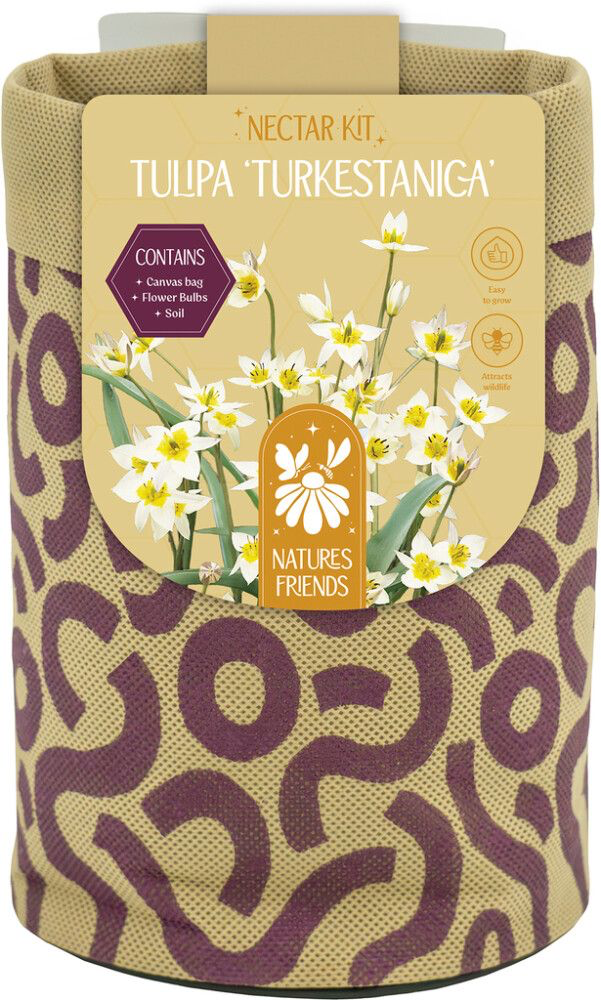Nectar kit Turkestani tulp 5tk