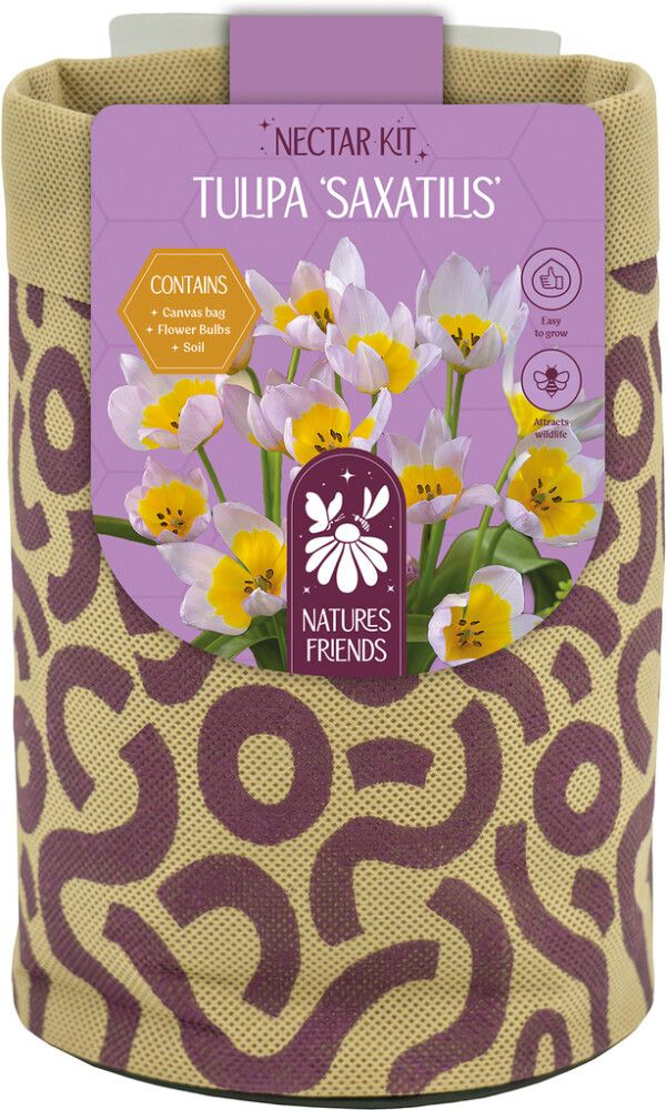 Nectar kit Bakeri tulp 5tk