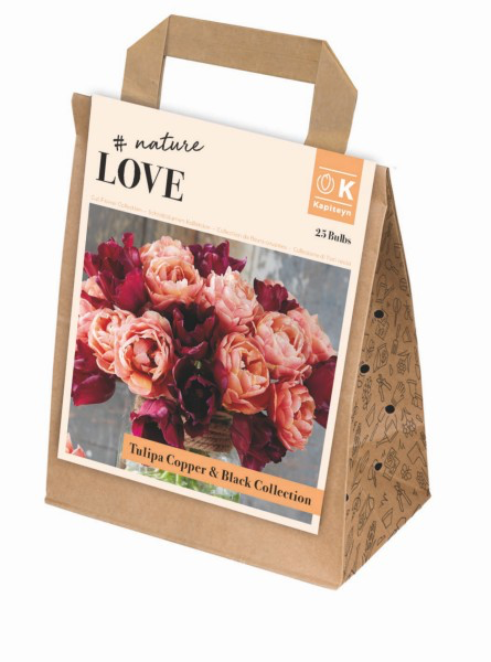 Tulp 'Bouquet Collection copper & black' 25tk