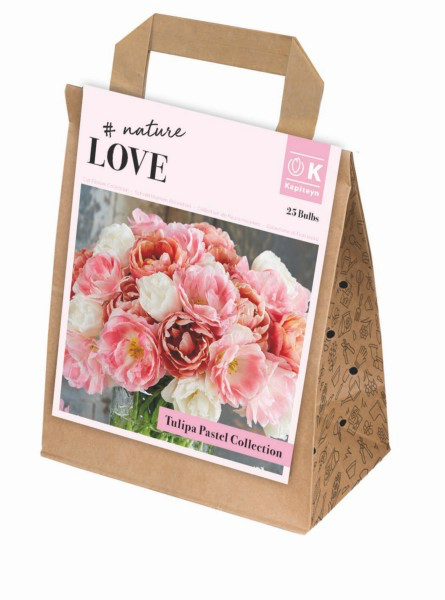 Tulp 'Bouquet Collection pastel' 25tk