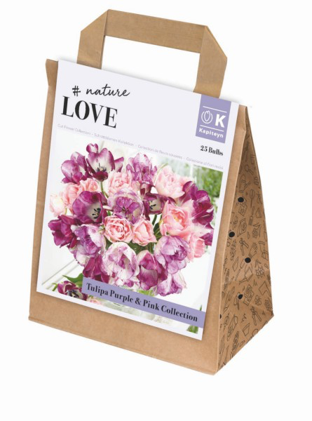 Tulp 'Bouquet Collection purple & pink' 25tk