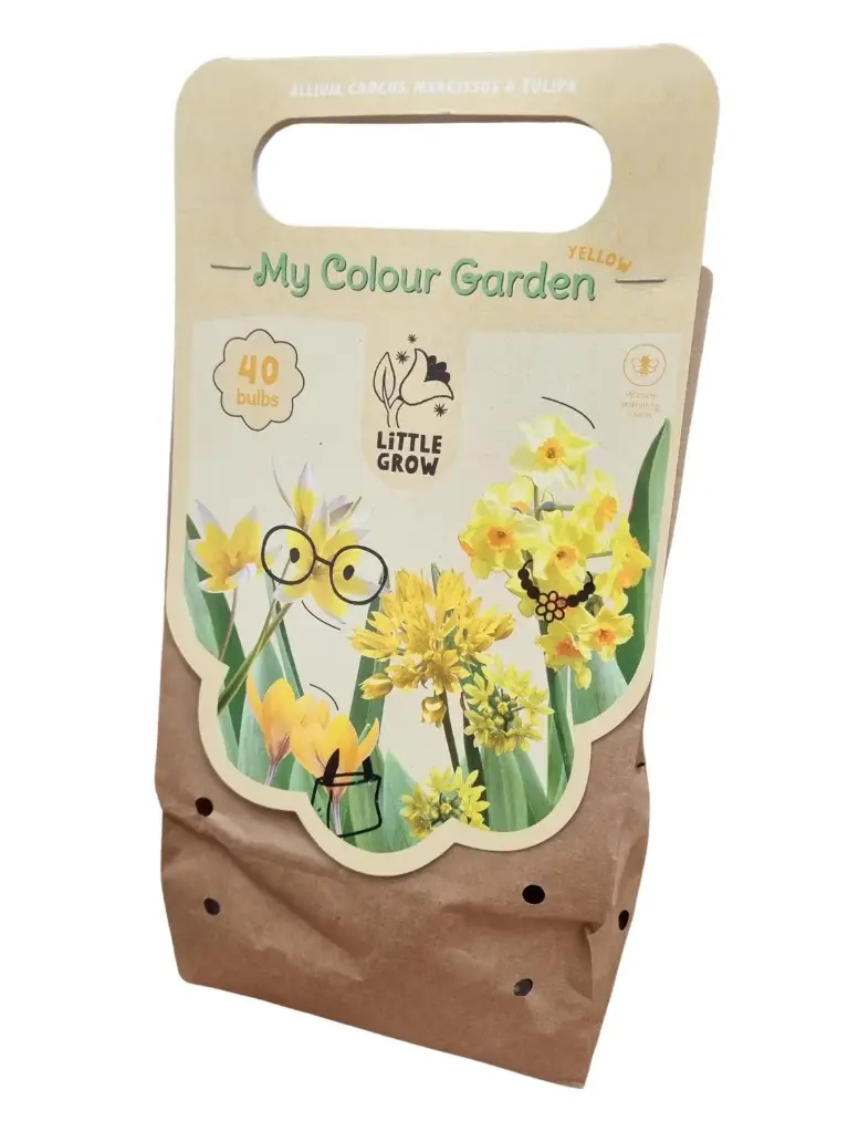 My Colour Garden Collection 'Yellow '40tk