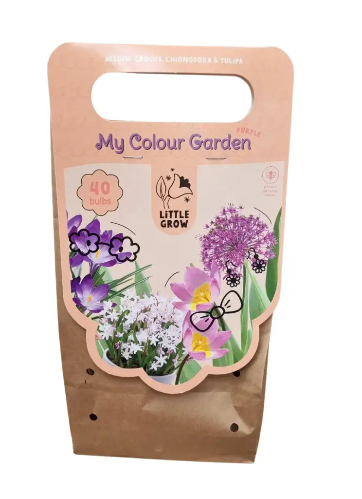 My Colour Garden Collection 'Purple' 40tk