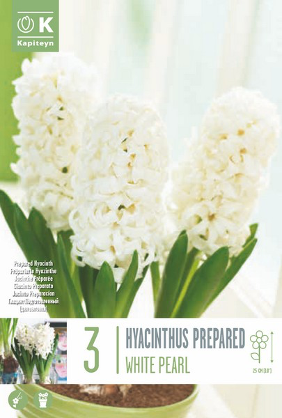 Hüatsint 'White Pride' 3tk 17/18