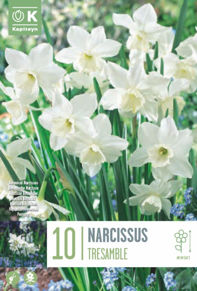 Nartsiss 'Tresamble' 10tk 10/12