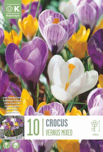 Kevadine krookus valik 10tk 8/9