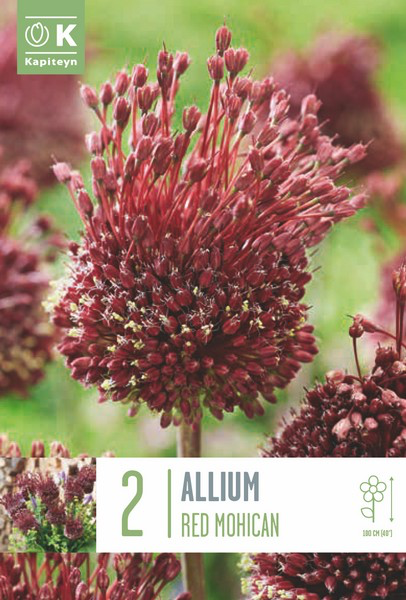 Lauk 'Red Mohican' 2tk 10/12