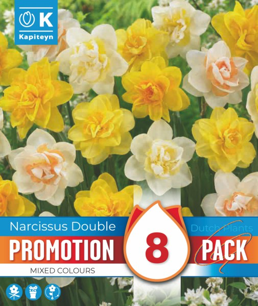 Nartsiss valik 8tk 12/15