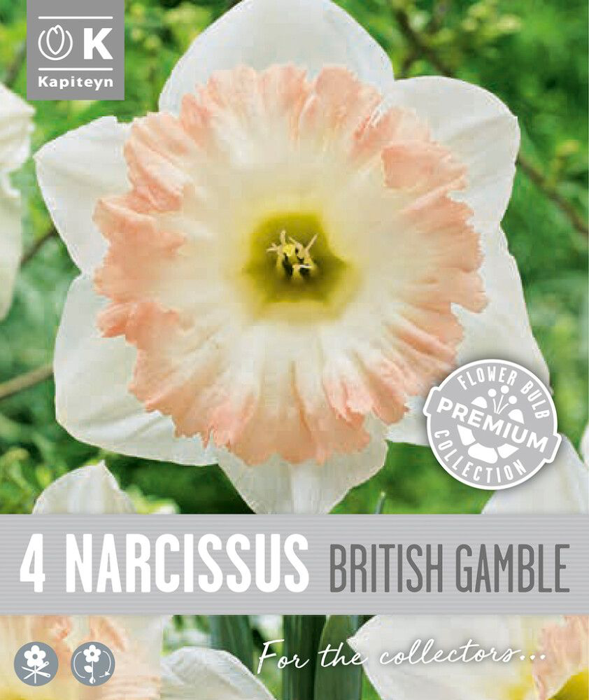 Nartsiss 'British Gamble' 4tk 14/16