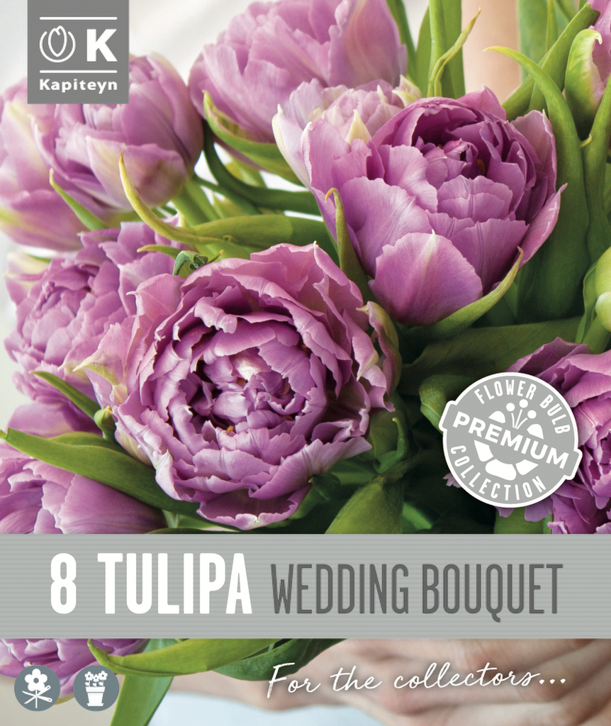 Tulp 'Wedding Bouquet' 8tk 12/+