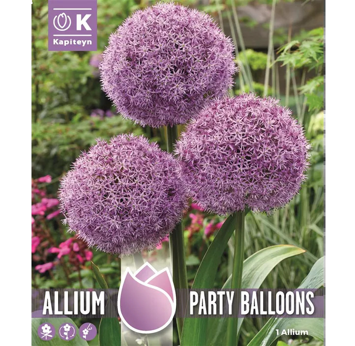 Lauk 'Party Balloons' 1tk 18/20 I